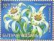 Colnect-1814-016-Pancrazio-Lily-Pancratium-maritimum.jpg