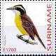 Colnect-3829-904-Pitangus-lictor---Lesser-Kiskadee.jpg