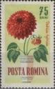 Colnect-458-508-Dahlia-Dahlia-hybrida.jpg