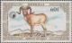 Colnect-918-370-Argali-Ovis-ammon-ammon.jpg