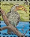 Colnect-1745-642-Eastern-Yellow-billed-Hornbill-Tockus-flavirostris.jpg