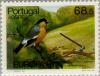 Colnect-186-223-Azores-Bullfinch-Pyrrhula-murina.jpg