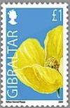 Colnect-1941-968-Yellow-Horned-poppy.jpg