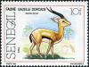 Colnect-2133-361-Dorcas-Gazelle-Gazella-dorcas-of-Djouj.jpg