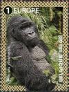 Colnect-3486-735-Mountain-Gorilla-Gorilla-beringei-beringei.jpg