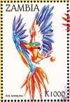 Colnect-3507-601-Blue-and-yellow-Macaw%C2%A0-%C2%A0Ara-ararauna.jpg