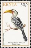 Colnect-753-979-Northern-Yellow-billed-Hornbill-Tockus-flavirostris.jpg