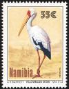 Colnect-867-800-Yellow-billed-Stork-Mycteria-ibis.jpg