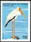 Colnect-1524-680-Yellow-billed-Stork-Mycteria-ibis.jpg