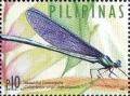 Colnect-2697-709-Beautiful-Demoiselle-Calopteryx-virgo-meridionalis.jpg