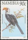 Colnect-3050-462-Eastern-Yellow-billed-Hornbill-Tockus-flavirostris.jpg