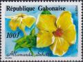 Colnect-4029-527-Allamanda-schottii.jpg