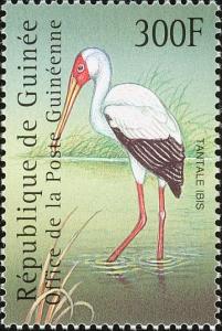 Colnect-3804-313-Yellow-billed-Stork-Mycteria-ibis.jpg