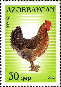 Colnect-1603-775-Cock-Gallus-gallus-domesticus.jpg