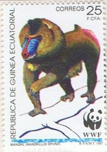 Colnect-759-032-Mandrill-Mandrillus-sphinx.jpg