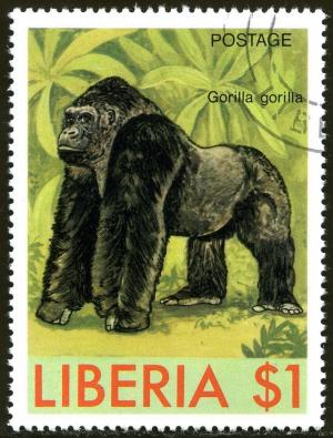 Colnect-1493-042-Gorilla-Gorilla-gorilla.jpg