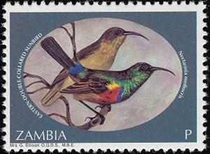 Colnect-1502-671-Eastern-Double-collared-Sunbird-Cinnyris-mediocris.jpg