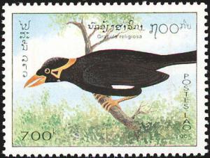 Colnect-1503-897-Common-Hill-Myna-Gracula-religiosa.jpg