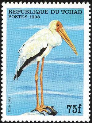 Colnect-1524-680-Yellow-billed-Stork-Mycteria-ibis.jpg