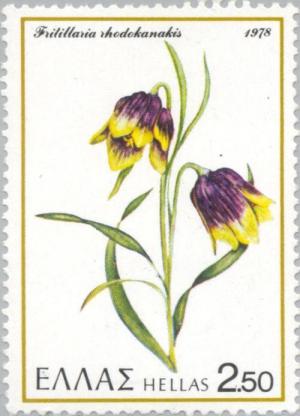 Colnect-174-039--quot-Fritillaria-rhodokanakis-quot-.jpg