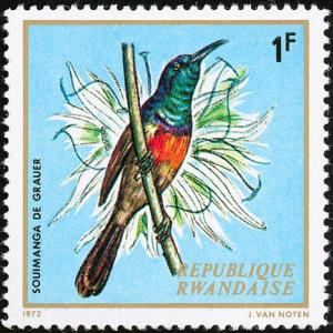 Colnect-1780-784-Northern-Double-collared-Sunbird-Cinnyris-reichenowi.jpg