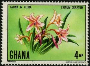 Colnect-1888-174-Amaryllis-Crinum-ornatum%7D.jpg