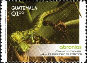 Colnect-2567-947-Bocourt--s-Arboreal-Alligator-Lizard-Abronia-vasconcelosi.jpg