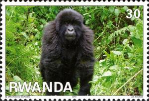 Colnect-2577-496-Mountain-Gorilla-Gorilla-beringei-beringei.jpg