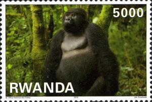 Colnect-2577-499-Mountain-Gorilla-Gorilla-beringei-beringei.jpg