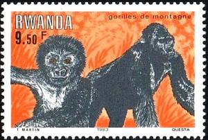 Colnect-2614-270-Mountain-Gorilla-Gorilla-beringei-beringei.jpg