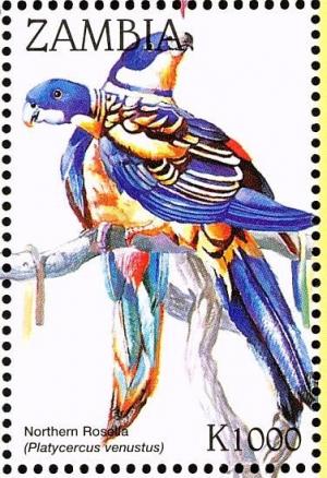 Colnect-3507-604-Northern-Rosella%C2%A0-%C2%A0Platycercus-venustus.jpg