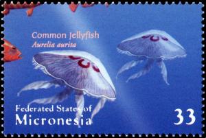 Colnect-4657-426-Common-Jellyfish---Aurelia-aurita.jpg