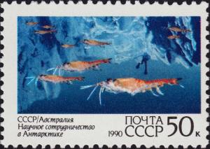 Colnect-4828-955-Krill-sp-Euphausia-sp.jpg