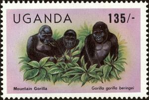 Colnect-4915-210-Mountain-Gorilla-Gorilla-gorilla-beringei.jpg