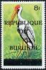 Colnect-1430-582-Yellow-billed-Stork-Mycteria-ibis.jpg