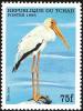 Colnect-1524-680-Yellow-billed-Stork-Mycteria-ibis.jpg