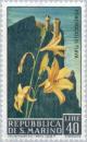 Colnect-171-544-Hemerocallis-Hemerocallis-flava.jpg