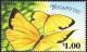 Colnect-2610-640-Large-Grass-Yellow-Eurema-hecabe-ssp-aprica.jpg