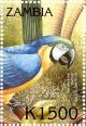 Colnect-3507-647-Blue-and-yellow-Macaw%C2%A0-%C2%A0Ara-ararauna.jpg