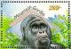 Colnect-5909-823-Mountain-Gorilla-Gorilla-beringei-beringei.jpg