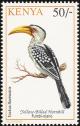 Colnect-753-979-Northern-Yellow-billed-Hornbill-Tockus-flavirostris.jpg