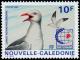 Colnect-855-381-Silver-Gull-Larus-novaehollandiae.jpg