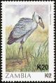 Colnect-864-842-African-Shoebill-Balaeniceps-rex-overprint.jpg