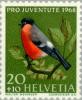 Colnect-140-360-Eurasian-Bullfinch-Pyrrhula-pyrrhula.jpg