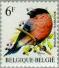 Colnect-186-370-Eurasian-Bullfinch-Pyrrhula-pyrrhula.jpg