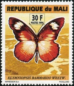 Colnect-1863-068-African-Palmfly-Elymniopsis-bammakoo.jpg