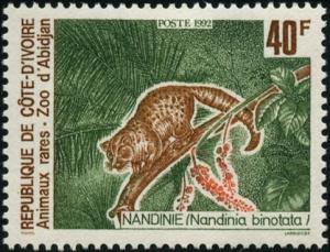 Colnect-1399-931-African-Palm-Civet-Nandinia-binotata.jpg