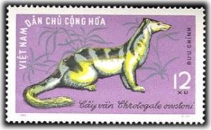 Colnect-1652-289-Owston-s-Palm-Civet-Chrotogale-owstoni.jpg