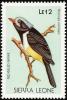 Colnect-1618-028-Red-billed-Helmet-shrike-Prionops-caniceps.jpg