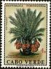 Colnect-4224-337-Date-Palm-Phoenix-dactylifera.jpg